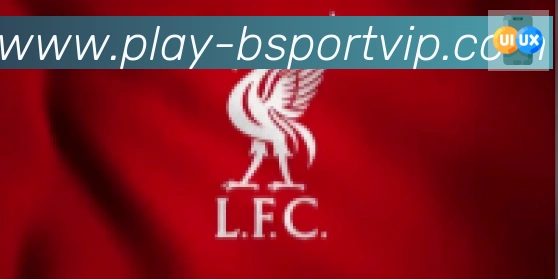 Bsports官网合作伙伴