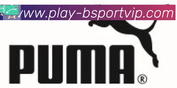 Bsports官网合作伙伴