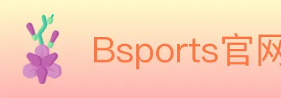 Bsports官网 logo